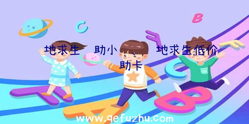 绝地求生辅助小鸟、绝地求生低价辅助卡