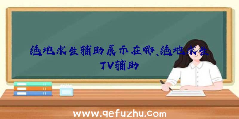 绝地求生辅助展示在哪、绝地求生TV辅助