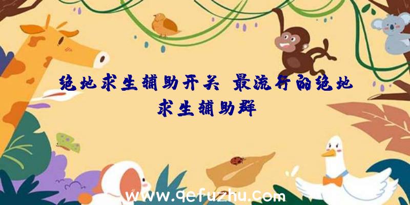绝地求生辅助开关、最流行的绝地求生辅助群