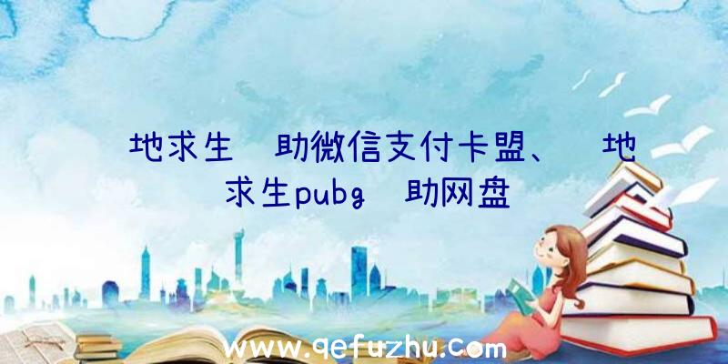 绝地求生辅助微信支付卡盟、绝地求生pubg辅助网盘