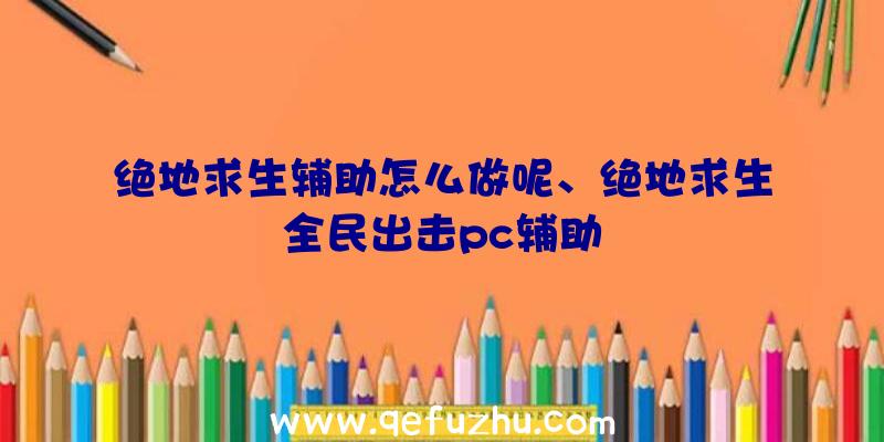 绝地求生辅助怎么做呢、绝地求生全民出击pc辅助