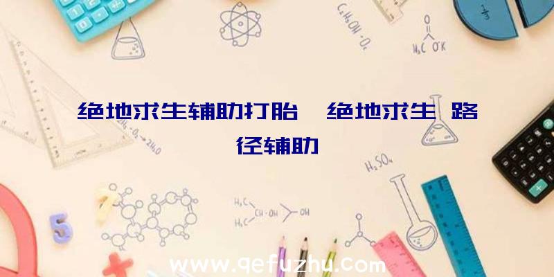 绝地求生辅助打胎、绝地求生