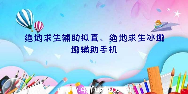 绝地求生辅助拟真、绝地求生冰墩墩辅助手机