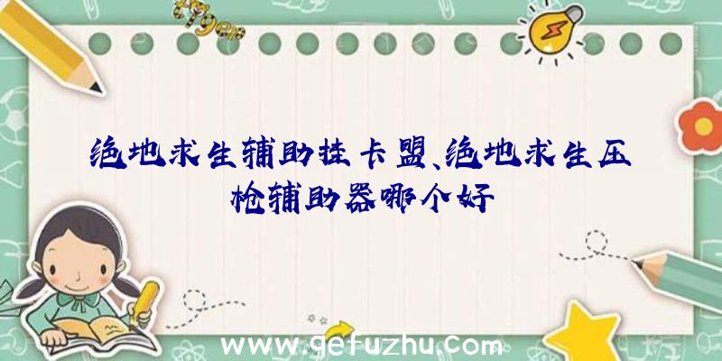 绝地求生辅助挂卡盟、绝地求生压枪辅助器哪个好