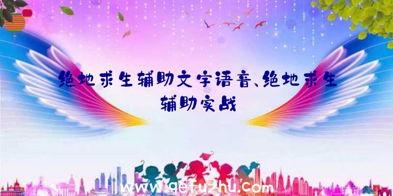 绝地求生辅助文字语音、绝地求生辅助实战