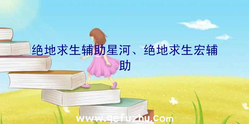 绝地求生辅助星河、绝地求生宏辅助