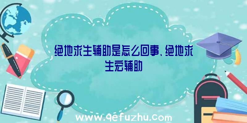 绝地求生辅助是怎么回事、绝地求生宏辅助