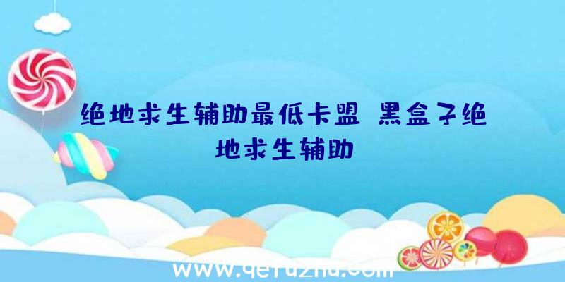绝地求生辅助最低卡盟、黑盒子绝地求生辅助