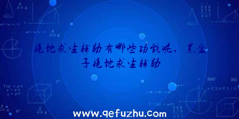 绝地求生辅助有哪些功能呢、黑盒子绝地求生辅助