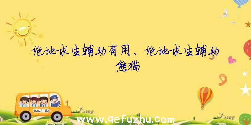 绝地求生辅助有用、绝地求生辅助