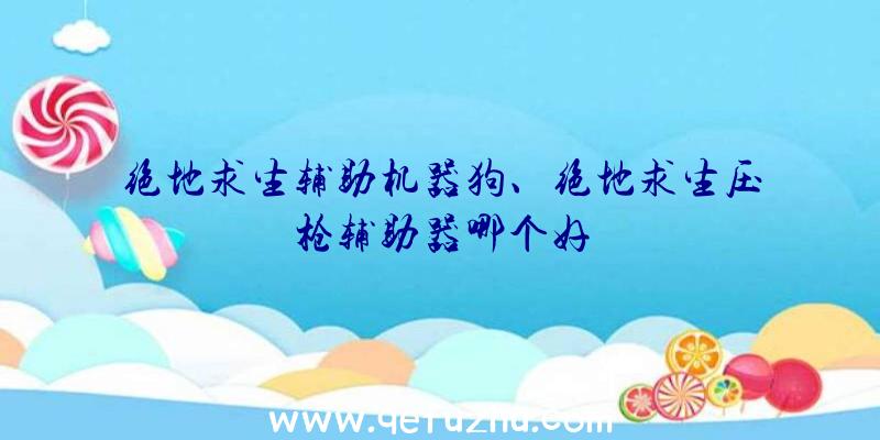 绝地求生辅助机器狗、绝地求生压枪辅助器哪个好