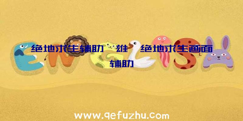 绝地求生辅助枭雄、绝地求生画面辅助