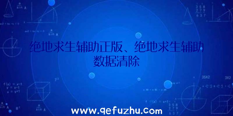 绝地求生辅助正版、绝地求生辅助数据清除