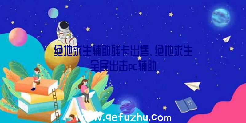 绝地求生辅助残卡出售、绝地求生全民出击pc辅助