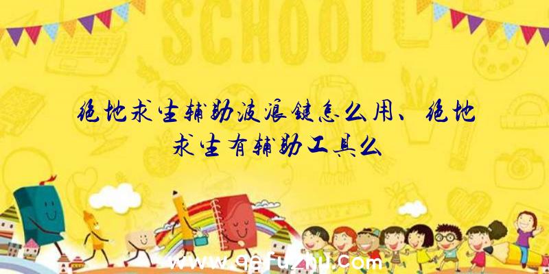 绝地求生辅助波浪键怎么用、绝地求生有辅助工具么