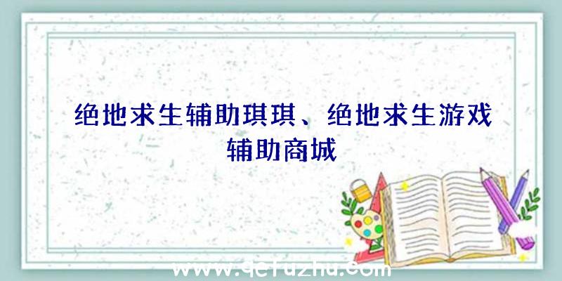 绝地求生辅助琪琪、绝地求生游戏辅助商城