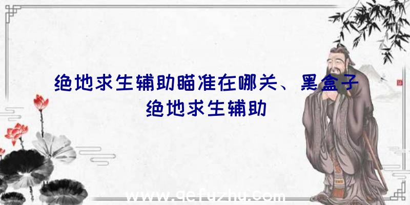 绝地求生辅助瞄准在哪关、黑盒子绝地求生辅助