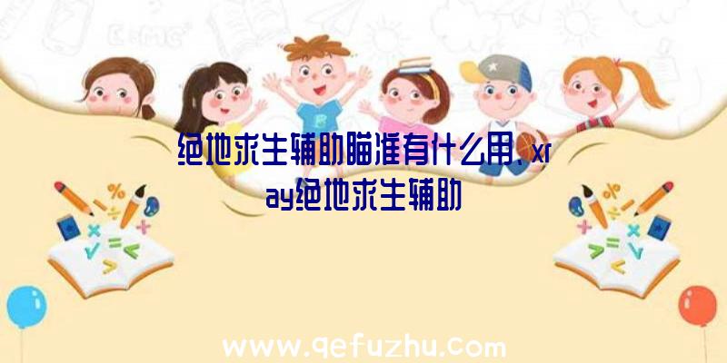 绝地求生辅助瞄准有什么用、xray绝地求生辅助