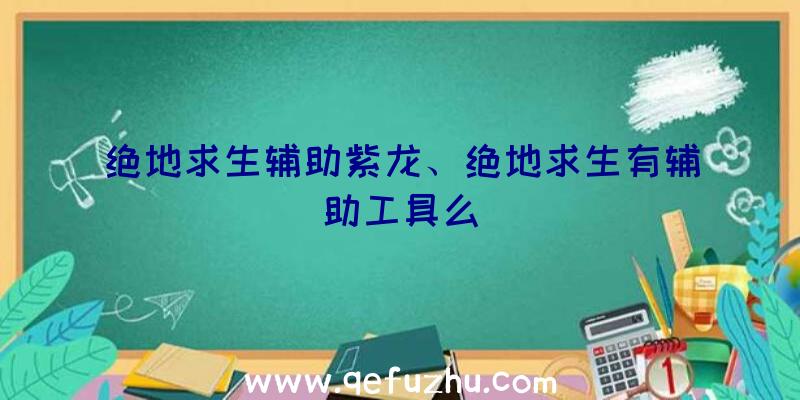 绝地求生辅助紫龙、绝地求生有辅助工具么