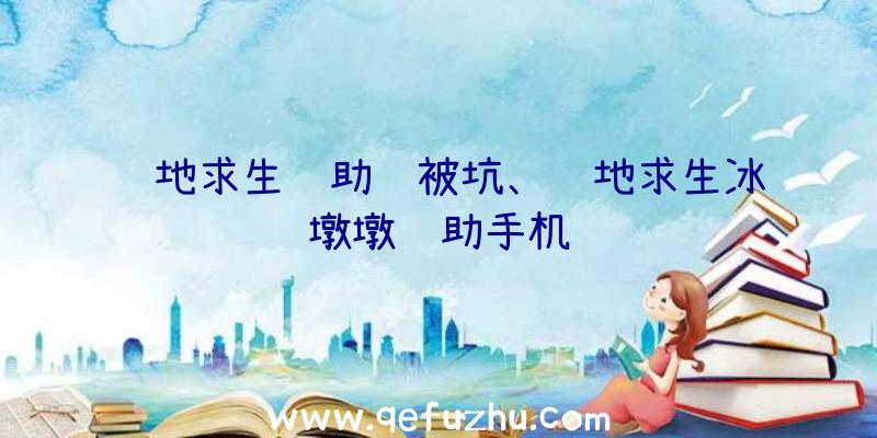 绝地求生辅助线被坑、绝地求生冰墩墩辅助手机