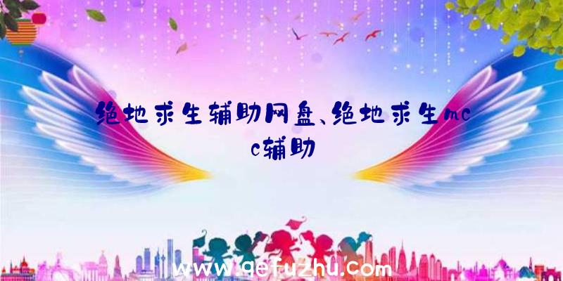 绝地求生辅助网盘、绝地求生mcc辅助