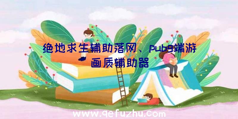 绝地求生辅助落网、pubg端游画质辅助器