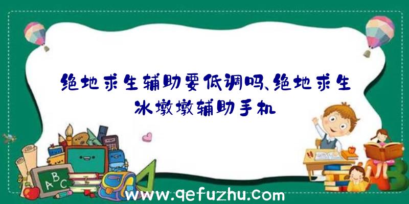 绝地求生辅助要低调吗、绝地求生冰墩墩辅助手机