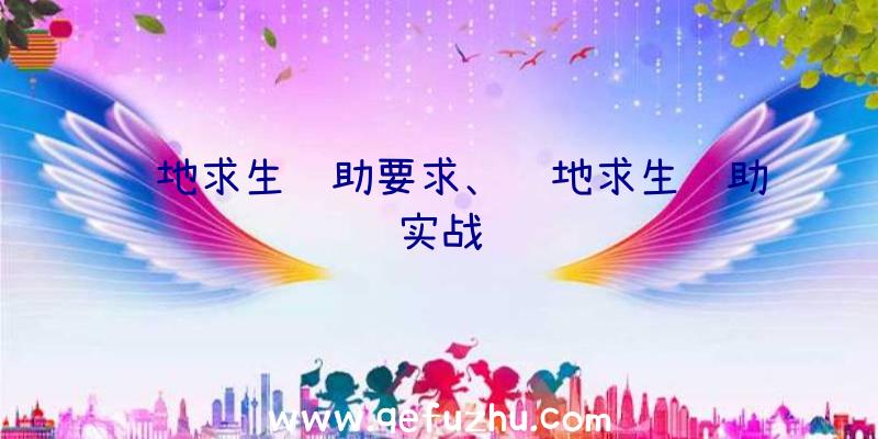 绝地求生辅助要求、绝地求生辅助实战