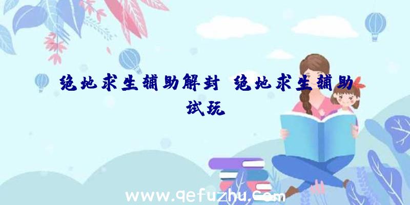 绝地求生辅助解封、绝地求生辅助试玩