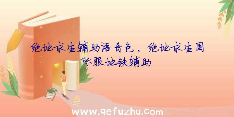 绝地求生辅助语音包、绝地求生国际服地铁辅助