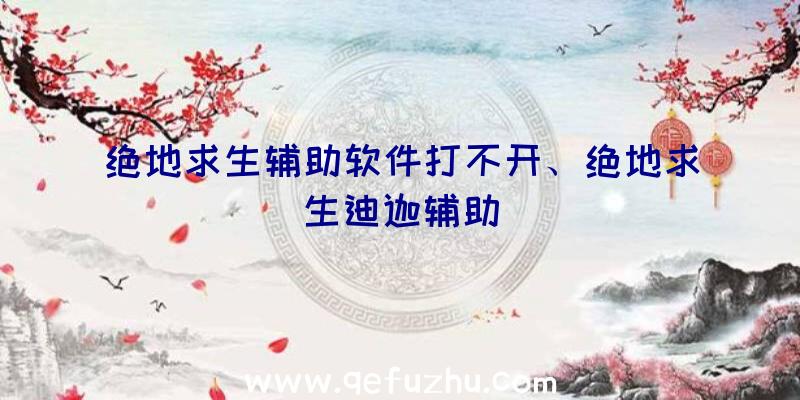 绝地求生辅助软件打不开、绝地求生迪迦辅助