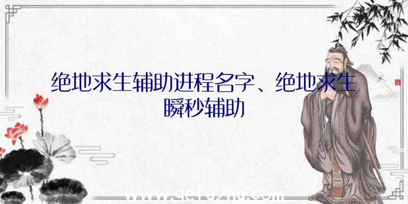 绝地求生辅助进程名字、绝地求生瞬秒辅助