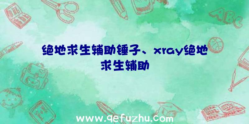 绝地求生辅助锤子、xray绝地求生辅助