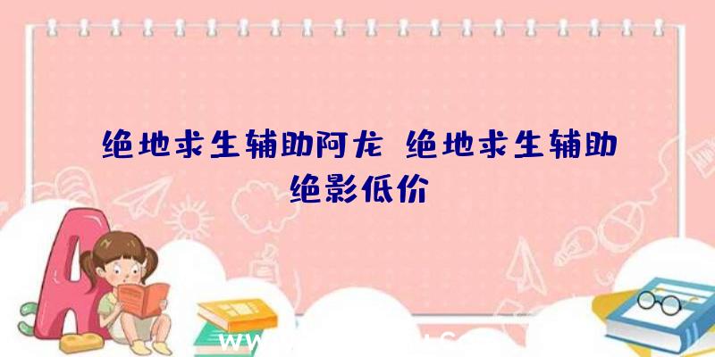 绝地求生辅助阿龙、绝地求生辅助绝影低价
