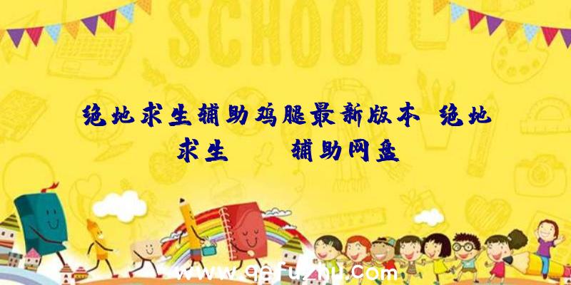 绝地求生辅助鸡腿最新版本、绝地求生pubg辅助网盘