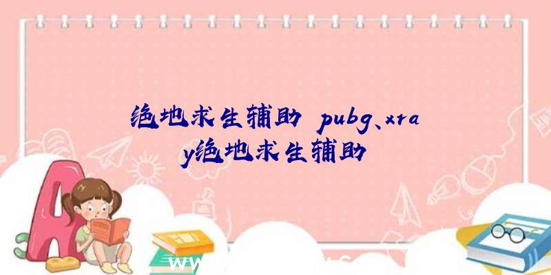 绝地求生辅助