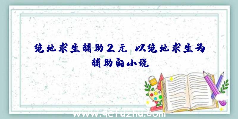 绝地求生辅助2元、以绝地求生为辅助的小说