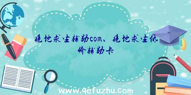 绝地求生辅助com、绝地求生低价辅助卡