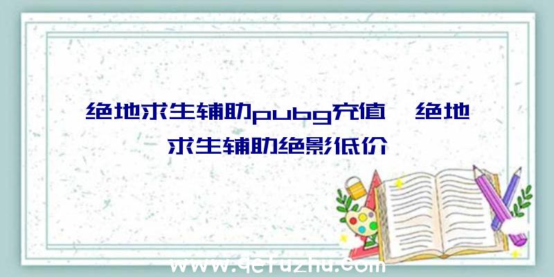 绝地求生辅助pubg充值、绝地求生辅助绝影低价