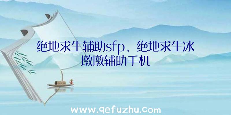 绝地求生辅助sfp、绝地求生冰墩墩辅助手机