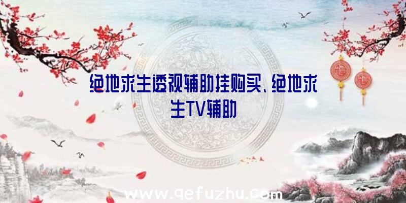 绝地求生透视辅助挂购买、绝地求生TV辅助