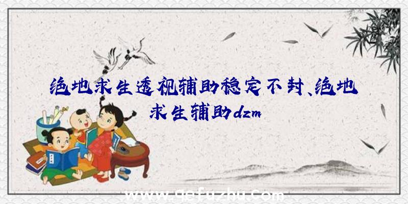 绝地求生透视辅助稳定不封、绝地求生辅助dzm