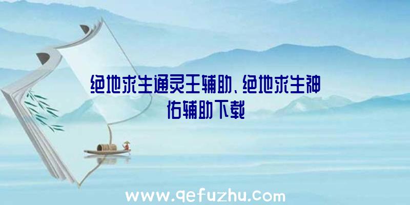 绝地求生通灵王辅助、绝地求生神佑辅助下载