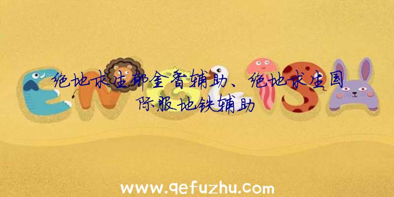 绝地求生郁金香辅助、绝地求生国际服地铁辅助