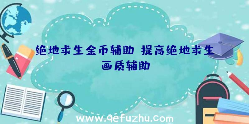 绝地求生金币辅助、提高绝地求生画质辅助