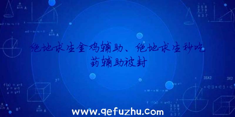 绝地求生金鸡辅助、绝地求生秒吃药辅助被封