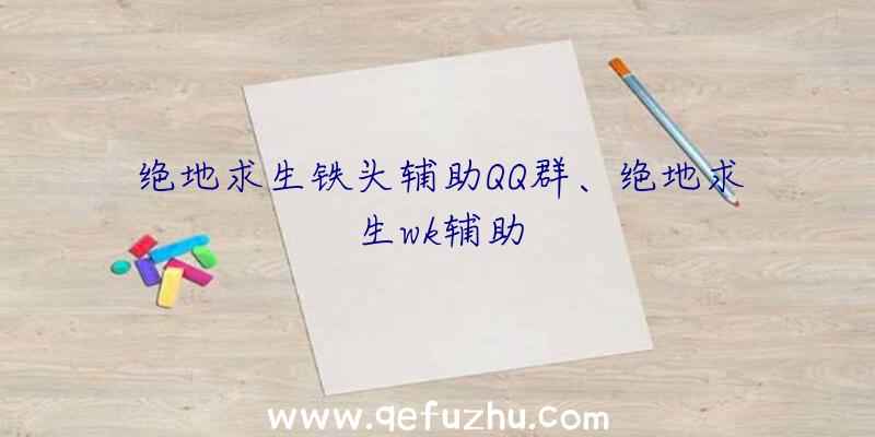 绝地求生铁头辅助QQ群、绝地求生wk辅助