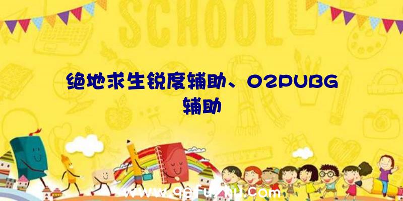 绝地求生锐度辅助、02PUBG辅助
