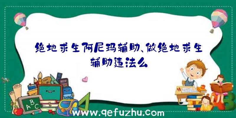绝地求生阿尼玛辅助、做绝地求生辅助违法么