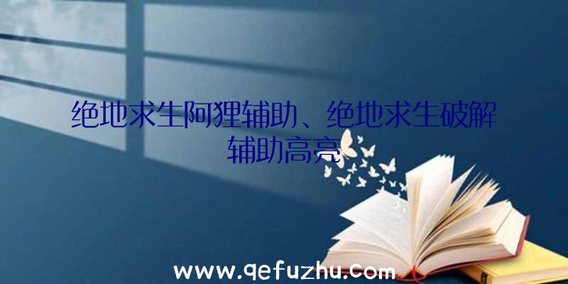 绝地求生阿狸辅助、绝地求生破解辅助高亮